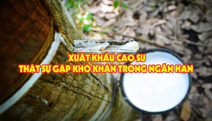 TRIỂN VỌNG GIÁ CAO SU THIÊN NHIÊN THẾ GIỚI TRONG NGẮN HẠN SẼ KHẢ QUAN 