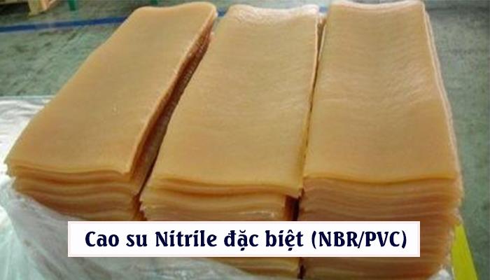 CAO SU NITRILE ĐẶC BIỆT