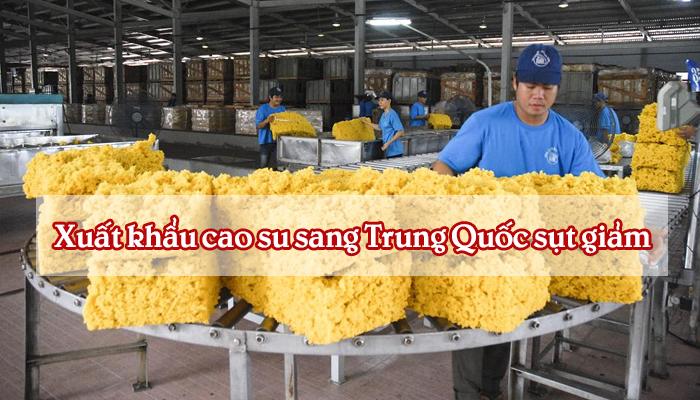 Xuất khẩu cao su sang Trung Quốc sụt giảm nhưng tỉ trọng vẫn tăng.