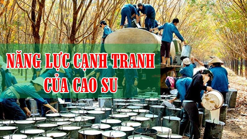 NÂNG CAO NĂNG LỰC CẠNH TRANH CỦA SẢN PHẨM CAO SU VIỆT NAM