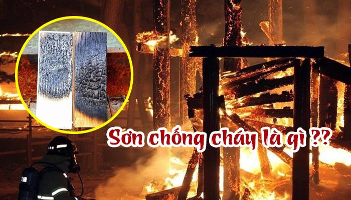 BỘ NGUYÊN LIỆU SẢN XUẤT SƠN CHỐNG CHÁY PHỒNG RỘP