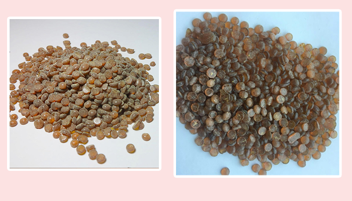 CHẤT PHÒNG LÃO CAO SU TMQ