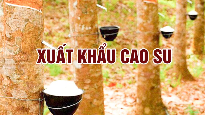 XUẤT KHẨU CAO SU SANG CÁC THỊ TRƯỜNG LỚN 