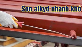 NHỰA ALKYD BIẾN TÍNH NHANH KHÔ