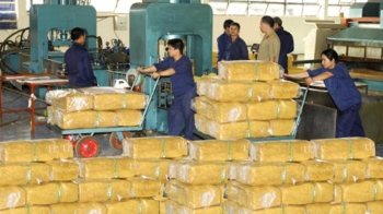 CAO SU XUẤT KHẨU BỘI THU TRONG THÁNG ĐẦU NĂM 2019