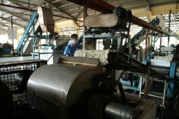 MỘT SỐ CHẤT XÚC TIẾN LƯU HÓA THƯỜNG DÙNG TRONG SẢN XUẤT CAO SU