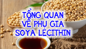 TỔNG QUAN VỀ PHỤ GIA SOYA LECITHIN