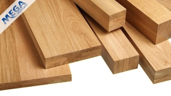 THỜI CƠ LỚN CỦA GỖ CAO SU