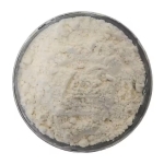 CHẤT ỨC CHẾ LƯU HÓA RETARDER CTP / PVI (DẠNG BỘT)